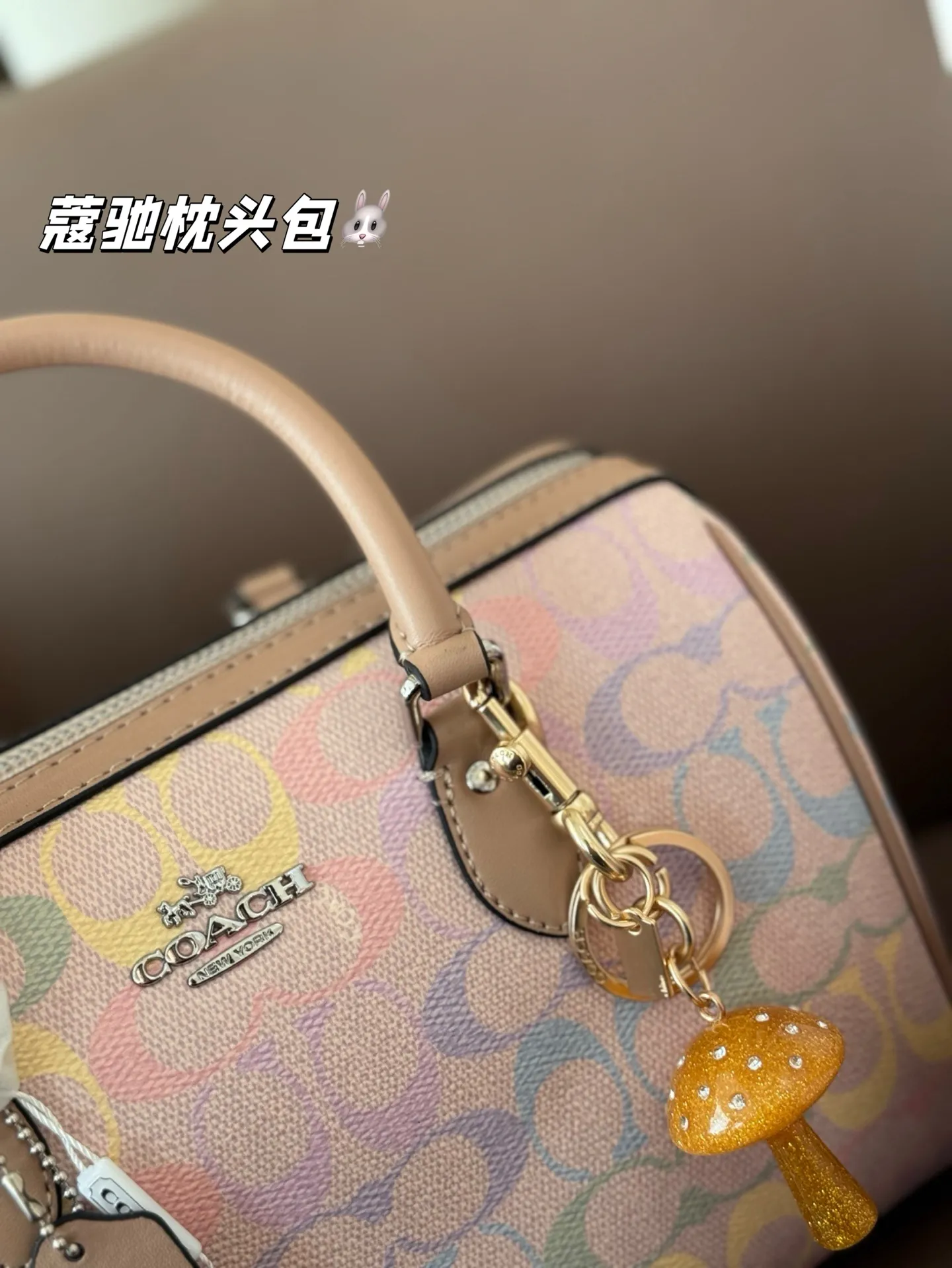 大号P180 小号P160 礼盒🎁（带挂件） 蔻驰枕头包出货 专柜同步 最新款 ❤️❤️🔥超级实用的款式 手提 斜挎多用款 原版电镀五金带logo 超级大牌 内衬logo‼️时尚百搭款式 不挑年龄段 喜欢的抓紧自留啦 尺寸：大25*17 小17*12