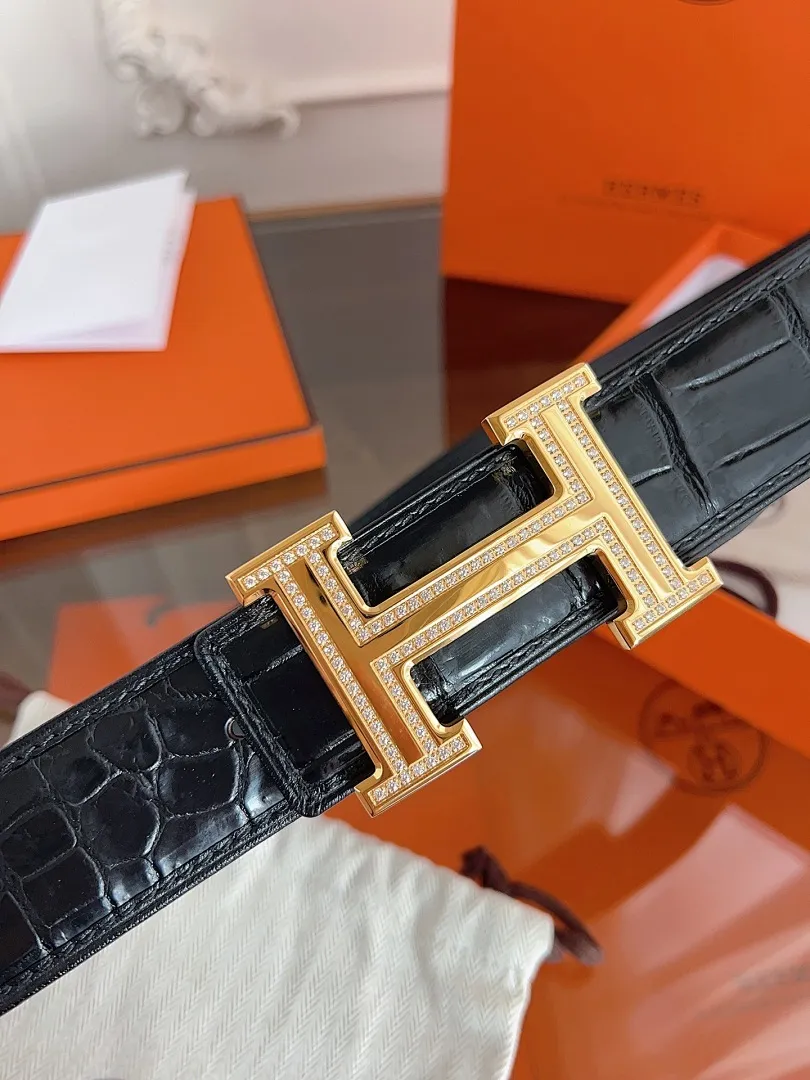 HERMES 010