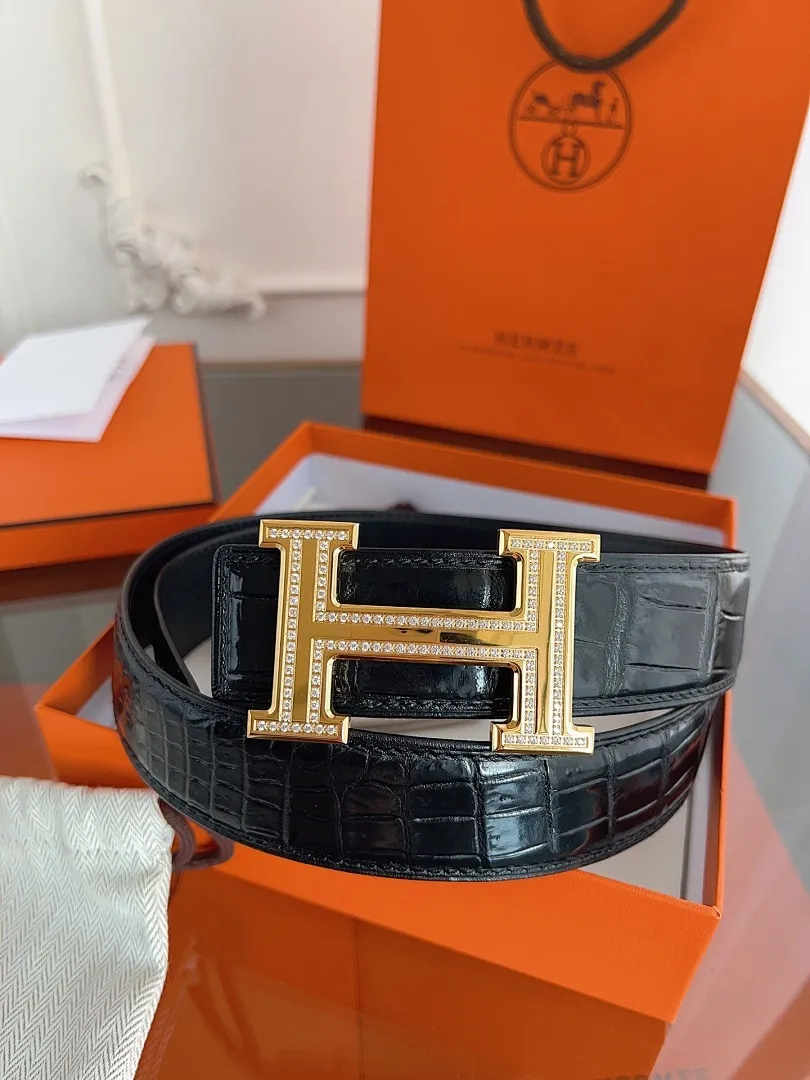 HERMES 010