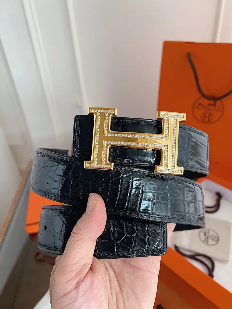 HERMES 010