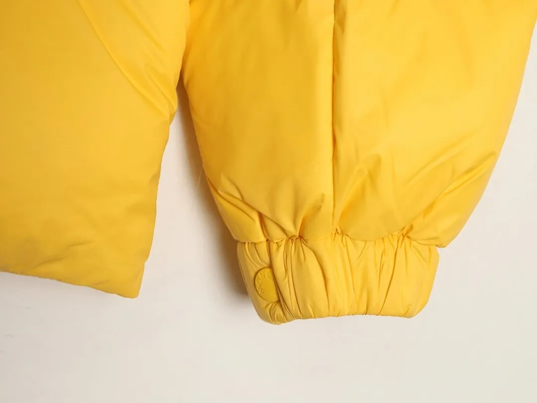 Moncler 蒙口 24Fw Mon Citala 简约立领大标羽绒服