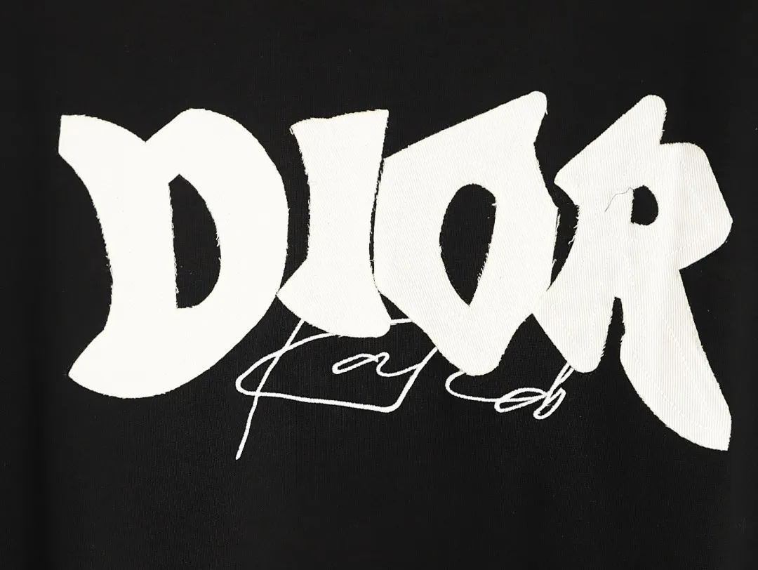 DIOR 迪奥 后背大LOGO贴布字母刺绣短袖