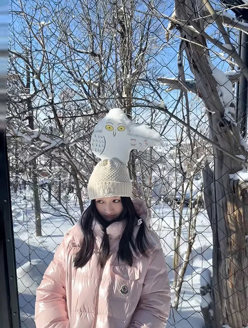 Moncler/蒙口 Andro系列 SS24 ANDRO短款徽标连帽长袖羽绒服