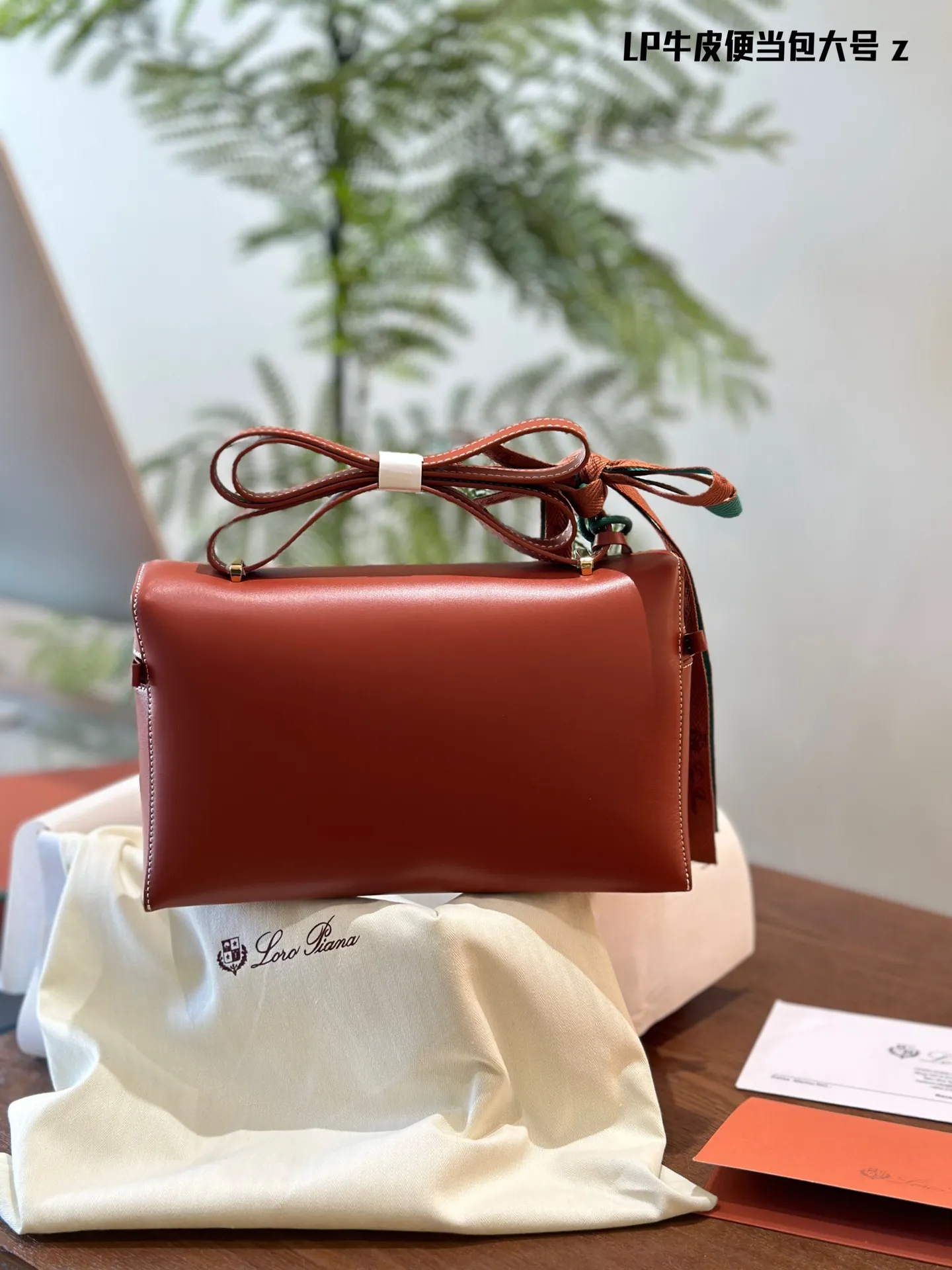 p220 原版牛皮 Loro Piana又出新包，唐嫣吴千语都在背! 董洁、马思纯、梅婷、宋佳、万茜、邬君梅、张雪迎、张钧甯，唐嫣、吴千语，好多女明星们最新街拍都在背 这支全新的Extra Bag手袋啊!包包颜值是真的高，容量很充足非常实用，可以单肩也可以斜挎，还有很多配色可以选择，经典百搭，秋冬新包这支最有看点!27cm专柜包装