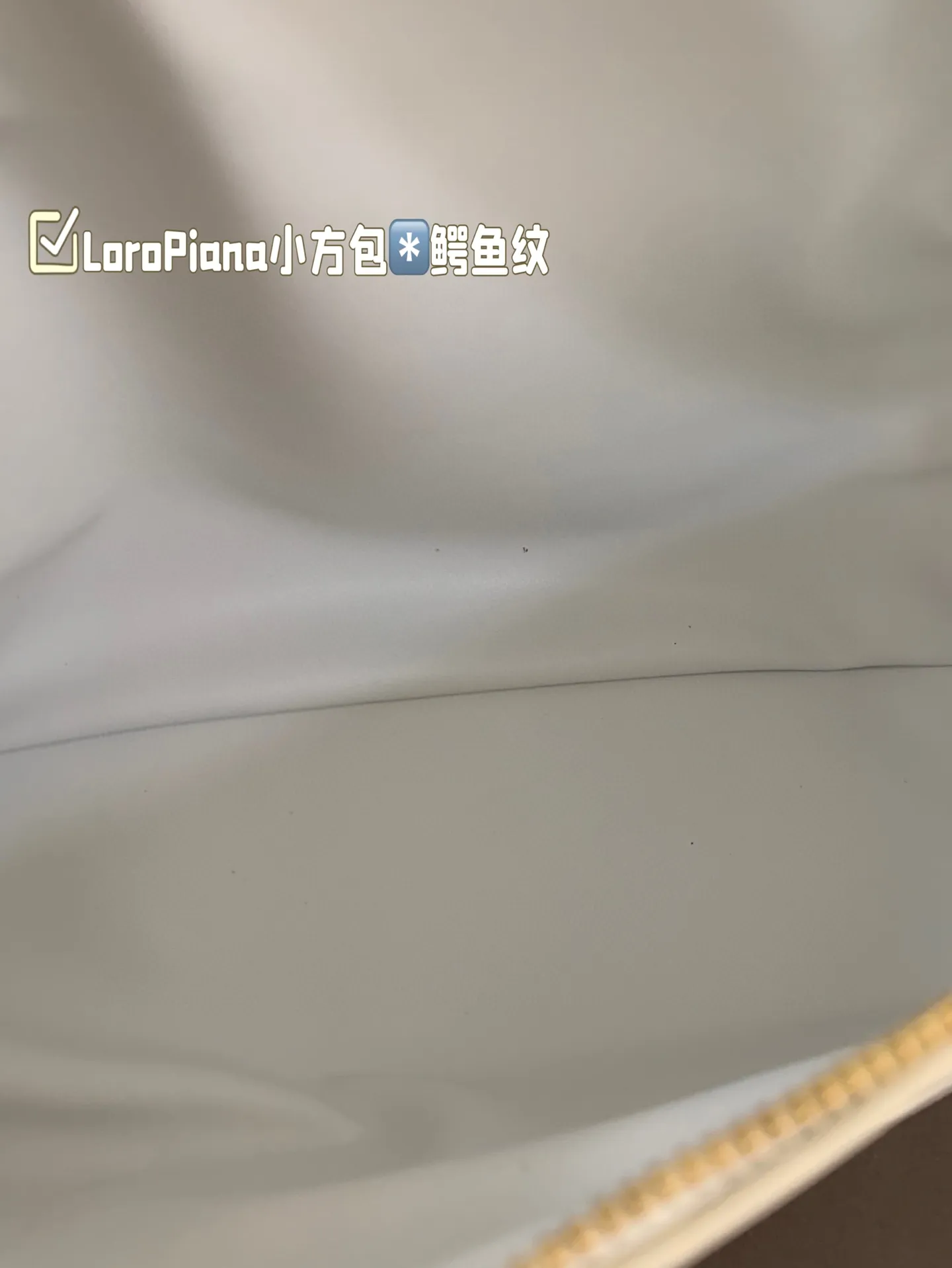 P175 配盒子 貌美如花LoroPiana小方鳄鱼纹 不再买包的我看到这个小白真是受不了 简直太适合夏天,容量可放下手机 钥匙 气垫 手纸 口红等,好喜欢這 #OroPiana#夏日小包推荐 尺寸:20*12