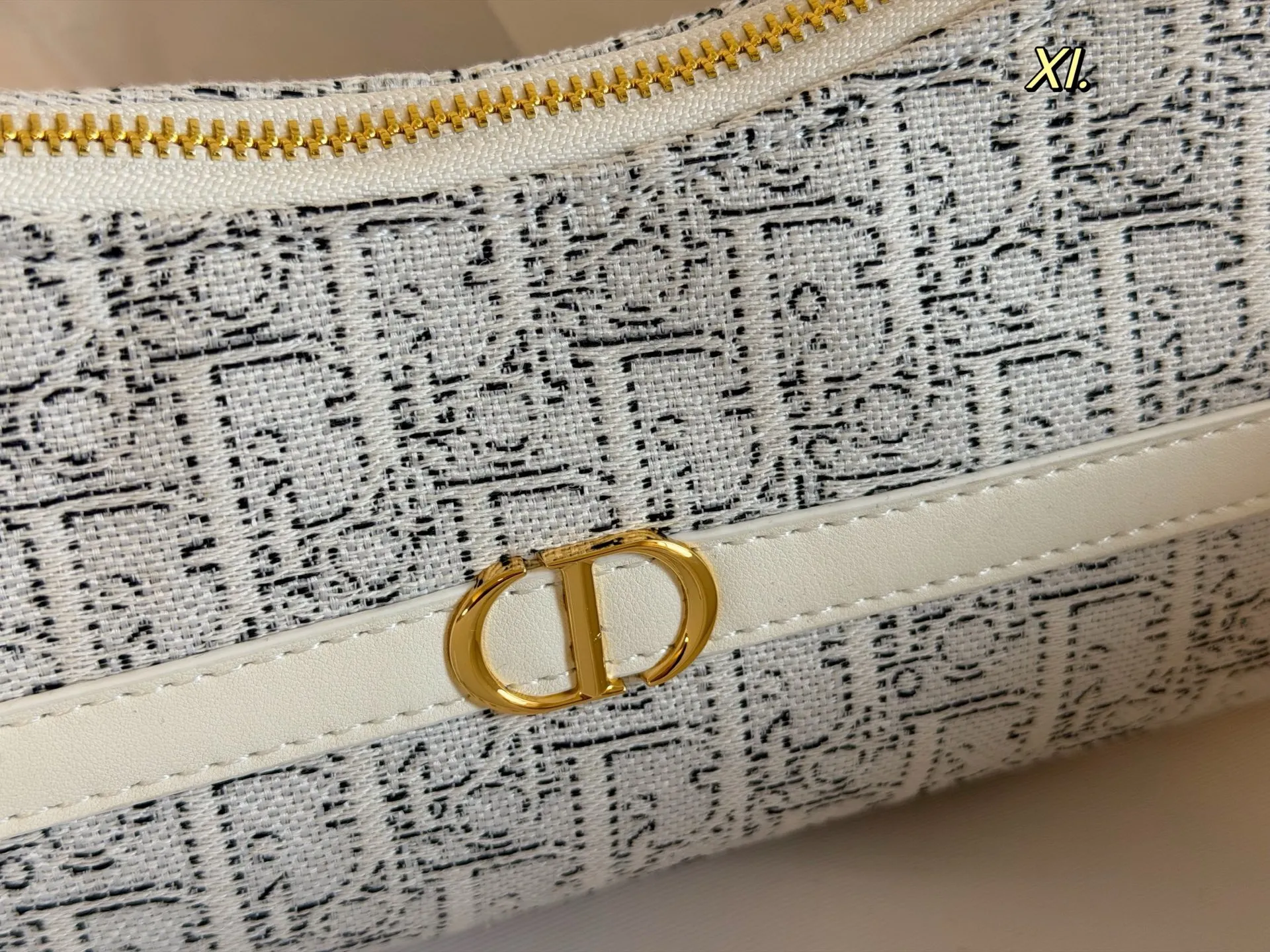 Dior 30 Montaigne Avenue bag in grey Oblique canvas with luxury brand packaging - xiashuluxe