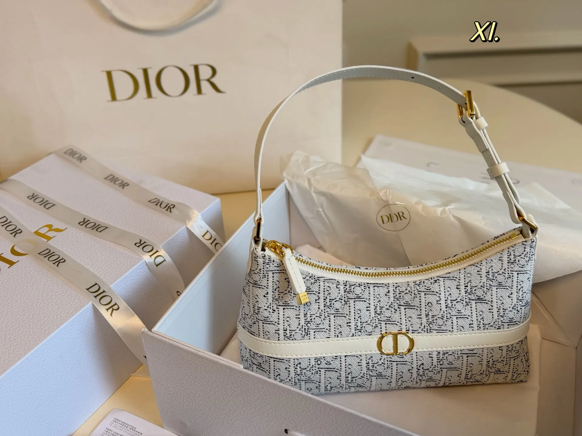 Dior 30 Montaigne Avenue bag in grey Oblique canvas with luxury brand packaging - xiashuluxe