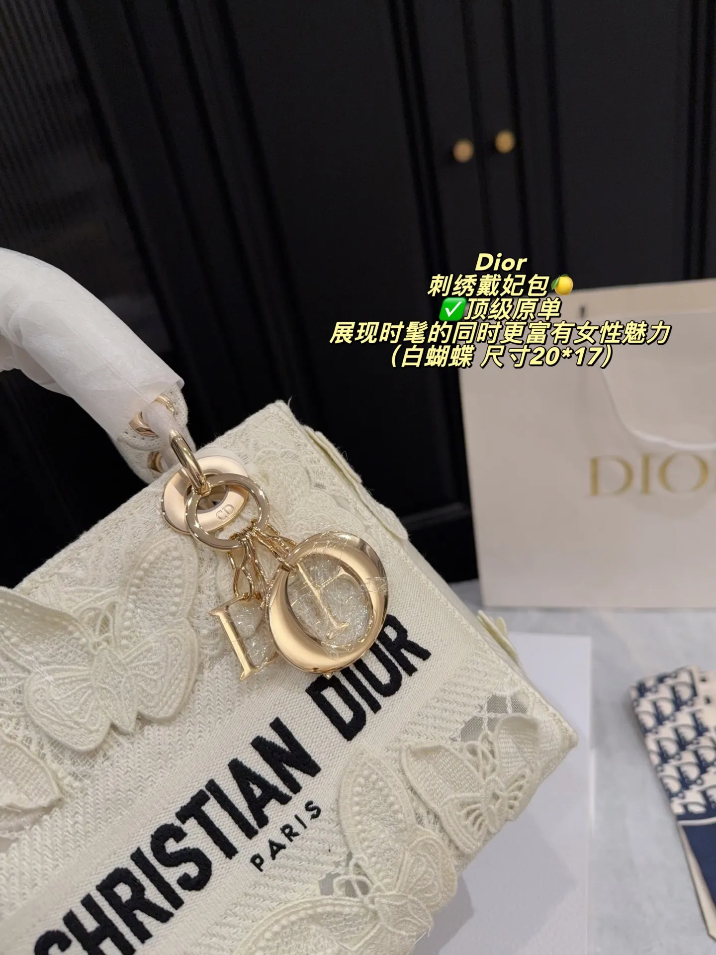 Lady Dior D-Lite canvas bag with 3D white butterfly embroidery and luxury packaging - xiashuluxe