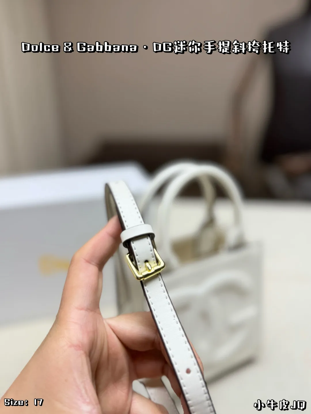 Premium D&G Mini Crossbody Bag Tax-Inclusive Shipping