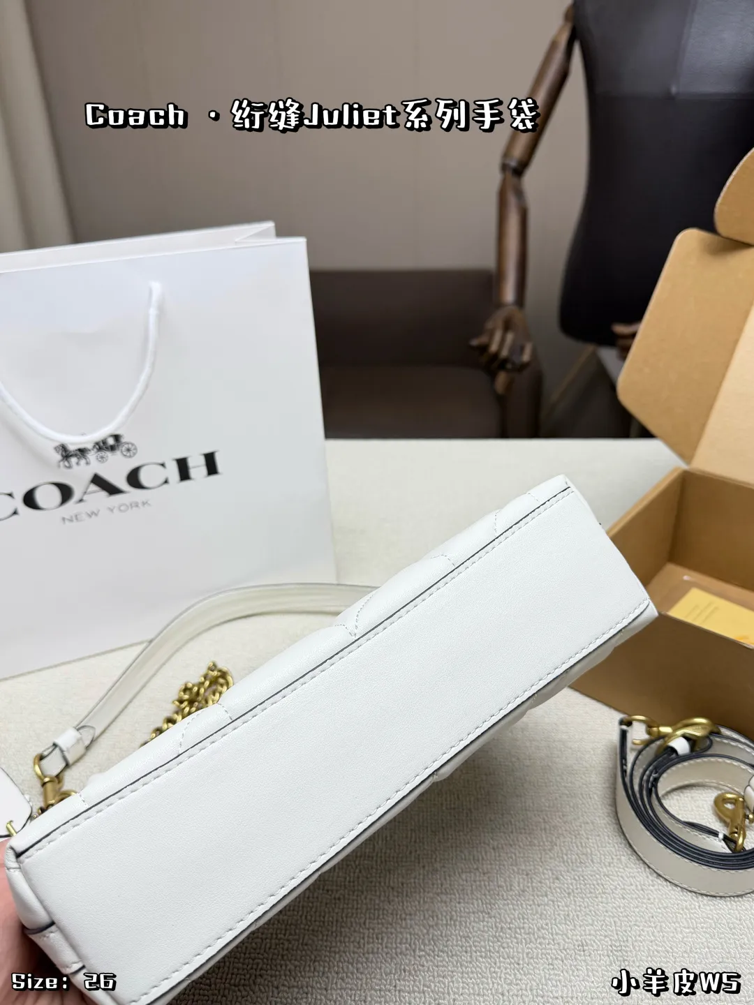 Original-Grade Coach Juliet 25 Hobo Bag UK Shipping