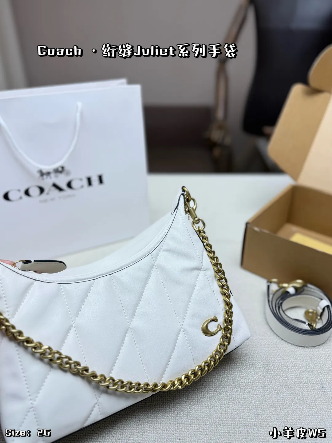 Coach Juliet 25 Bag Full Set Packaging and Interior