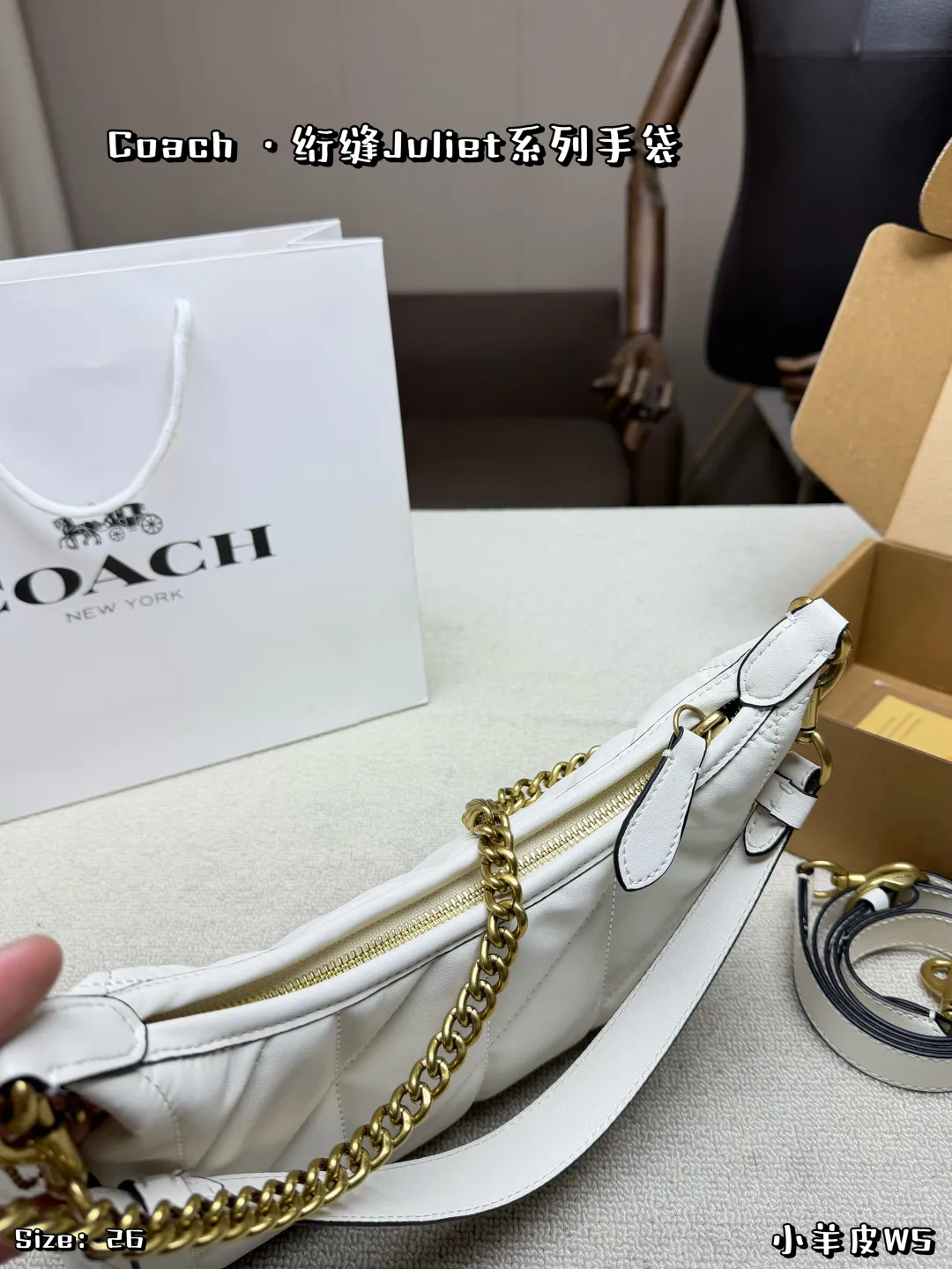 Luxury Coach Juliet 25 Shoulder Bag HD Quality Check