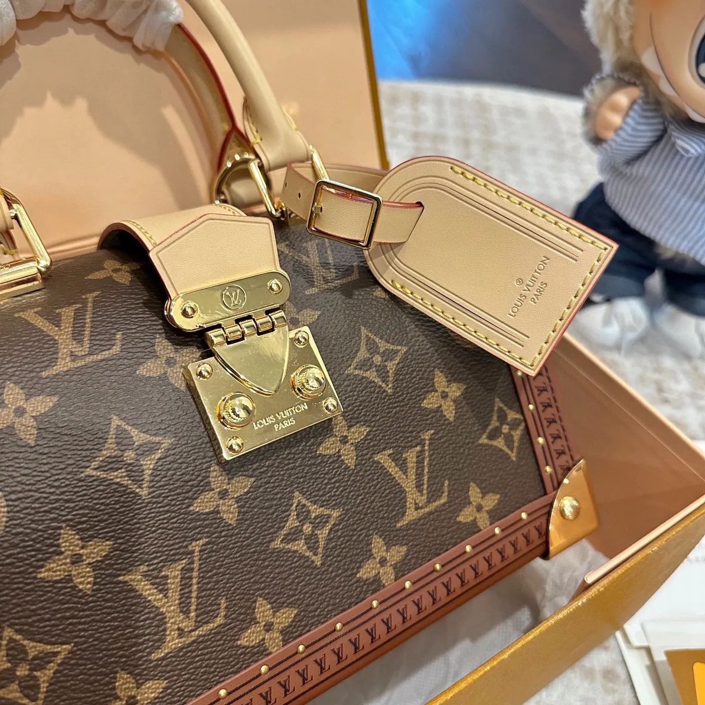 LV Speedy Trunk 20 Hardcase Shoulder Bag Europe Shipping