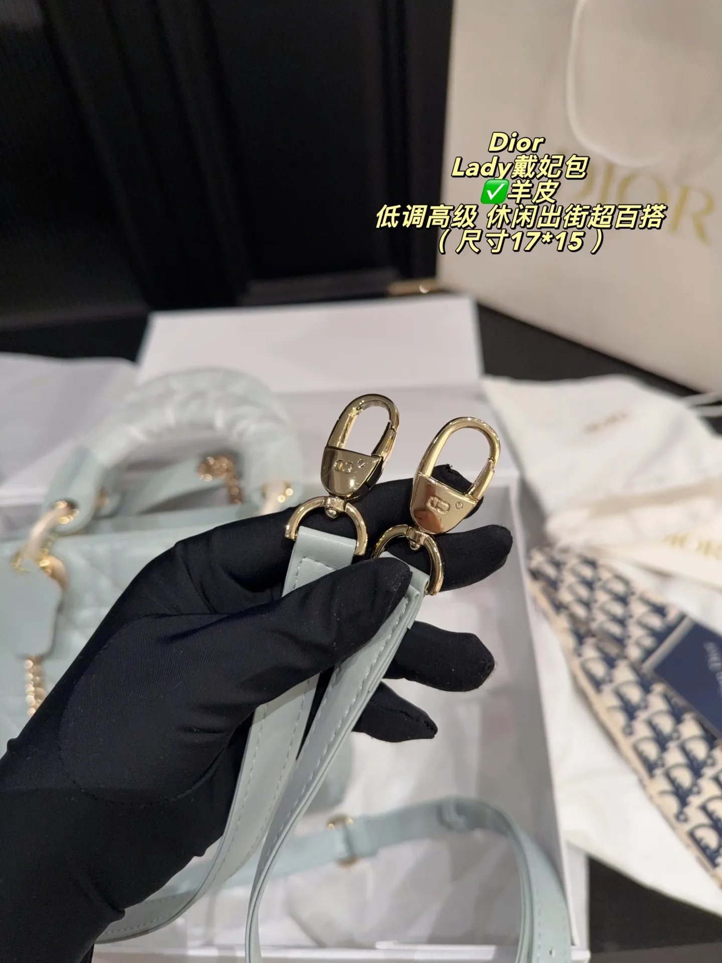 ✅羊皮大号p250折叠盒⚠️尺寸20*17 ✅羊皮小号p240折叠盒⚠️尺寸17*15 Dior迪奥经典Lady戴妃包,优质羊皮+淡金金属扣,优雅精致✨。标志性“Cannage”藤格纹缝线,搭配可拆卸链条肩带,手提斜挎都OK!日常通勤、约会都能轻松驾驭。雾霾蓝低饱和度,温柔百搭,春夏穿搭超加分~这款包不仅实用,更是身份与品味的象征,深受时尚达人喜爱💼。