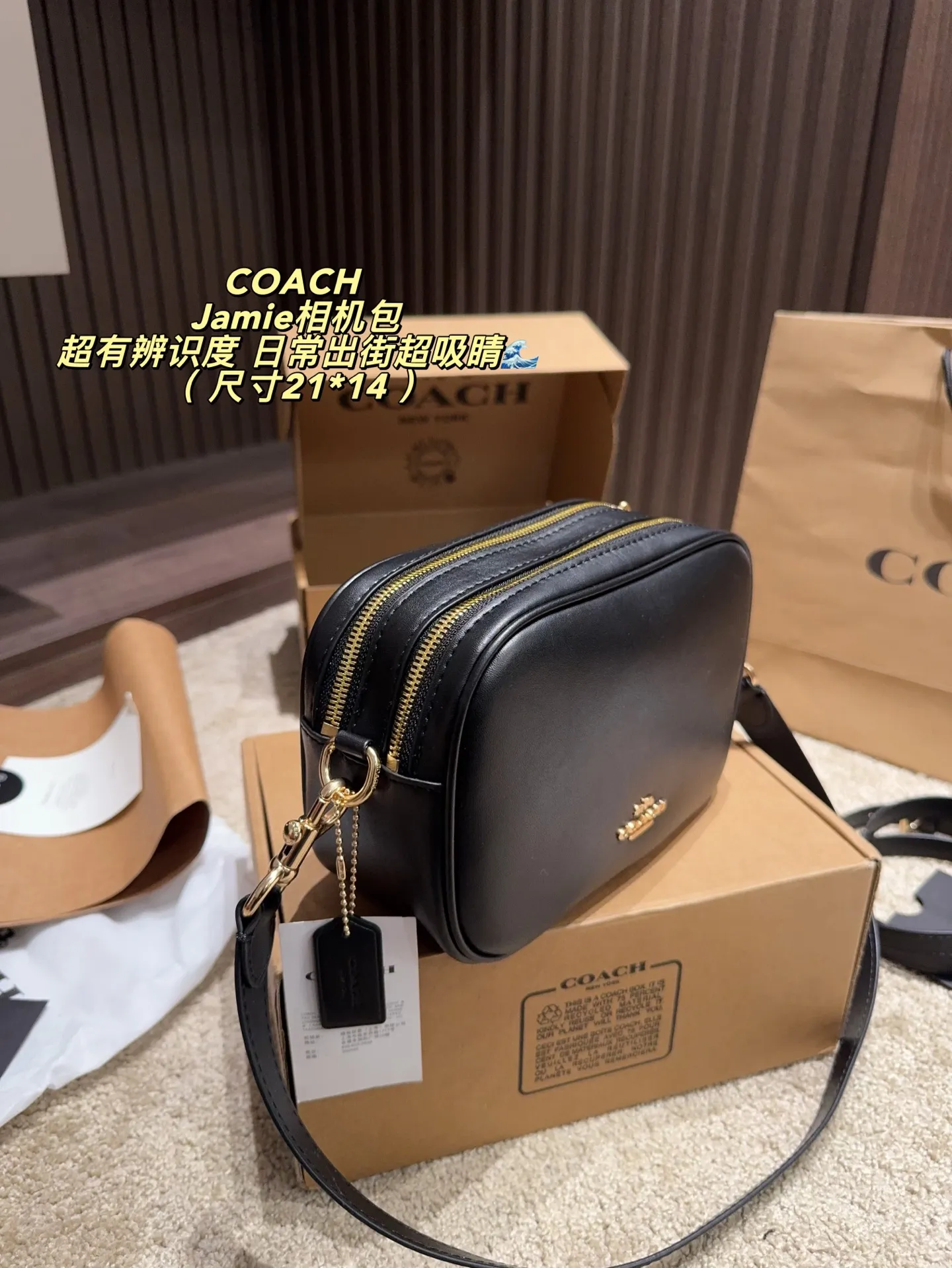 p160飞机盒⚠️尺寸21*14 COACH 蔻驰Jamie相机包,金属拉链&Logo点缀,简约又经典✨。小号设计,日常通勤、休闲出街都超适合,肩带可调节,单肩/斜挎随心切换。内部空间合理,手机、钱包、化妆品都能装下,实用又时髦!Jamie系列是COACH经典款,耐用又百搭,深受大家喜爱,性价比很高哦~