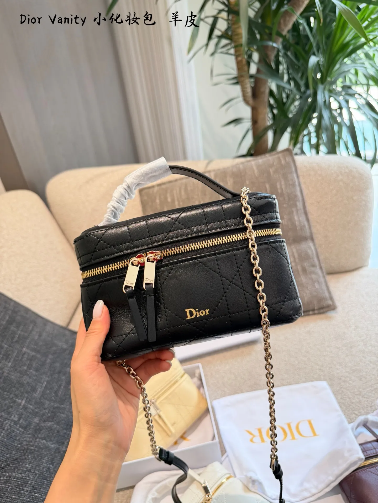 p215 Dior lp小盒子Vanity化妆包​​ 🖤Dior Lady戴妃Vanity化妆包，羊皮经典藤格纹缝线，金色链条&拉链超有质感✨。尺寸19cm迷你小巧，手提or斜挎都OK，日常出街、约会都能轻松驾驭！灵感来自戴妃包，复古优雅又实用，化妆包&手袋二合一，通勤、旅行都能装下小物，时髦又百搭💼。