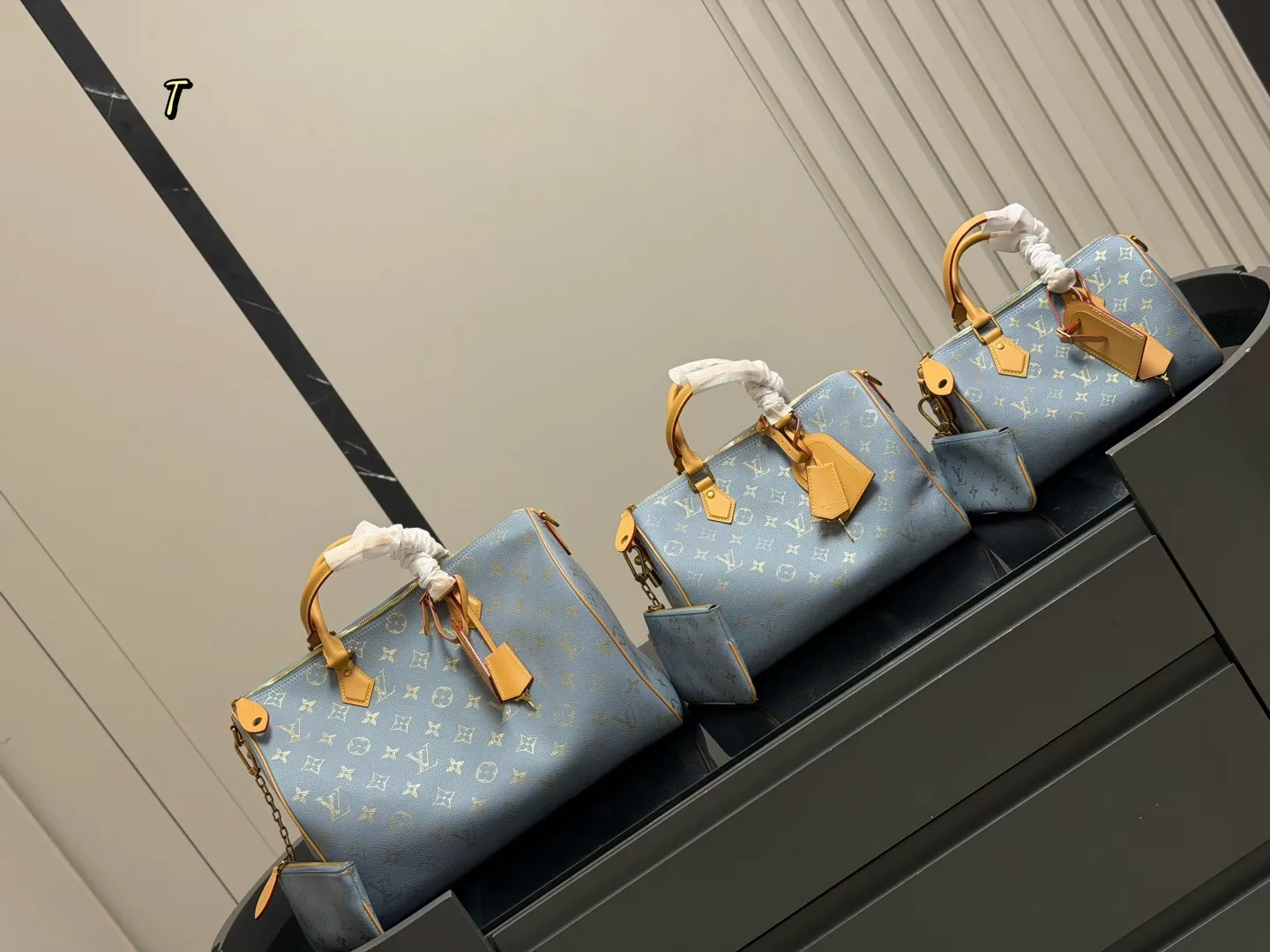¥260 ¥290 ¥310 全套包装 size:25cm 30cm 40cm 快來看看Lv Speedy25 30枕头包 公分日常、旅行都適合! 这个尺寸太喜欢了 真好用!也太 COOL!