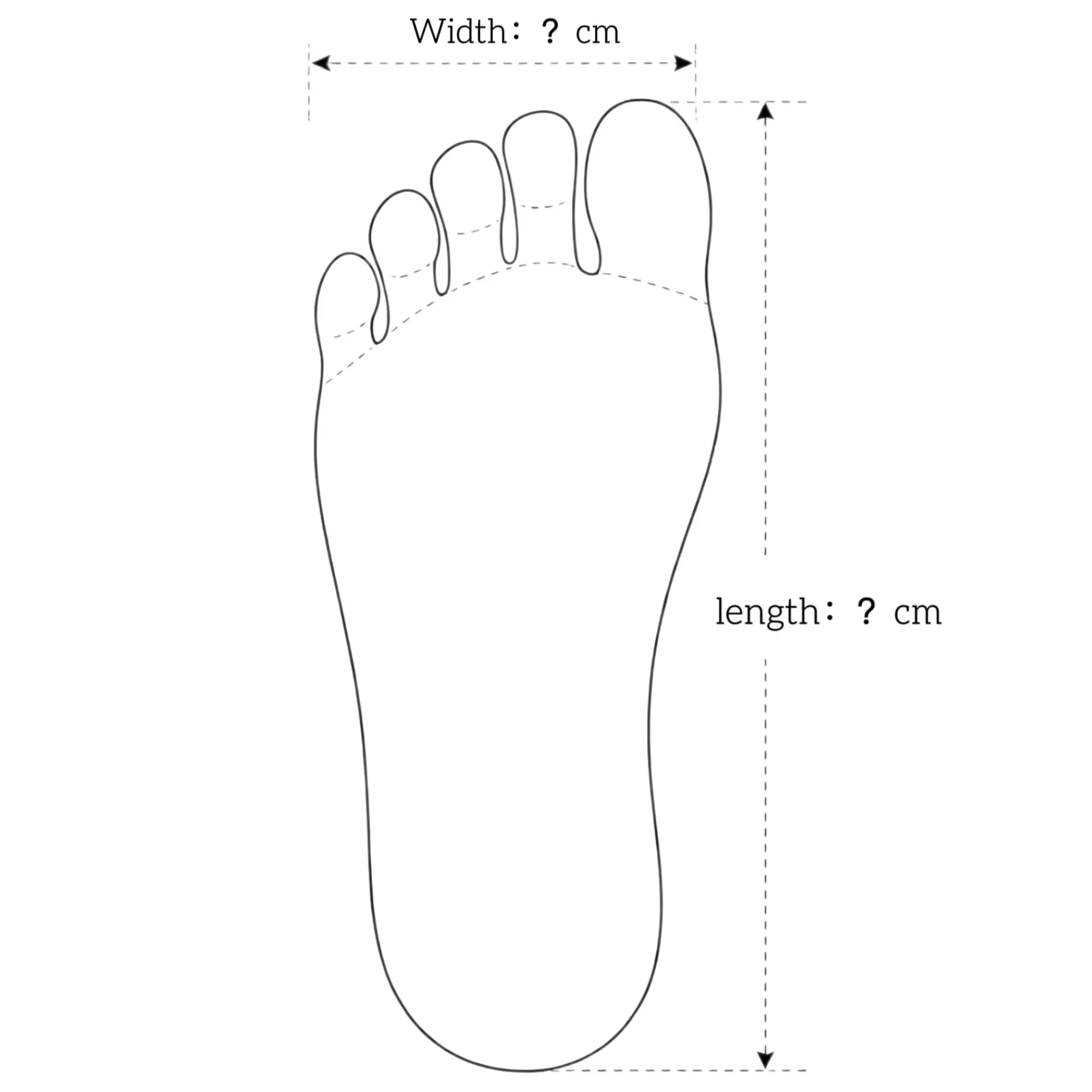 Measure Guide